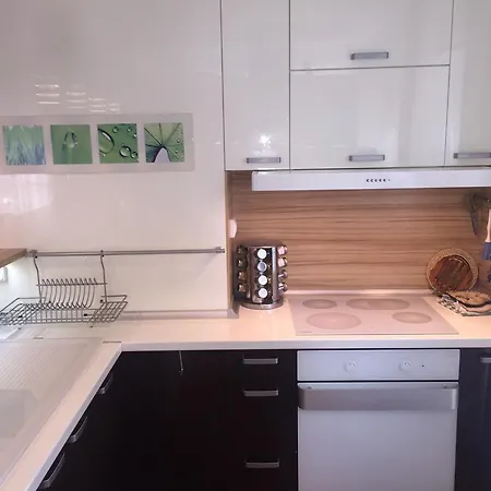 Sweet 公寓 巴尔奇克
